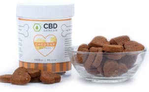 cbd for Dogs
