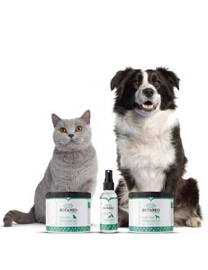 CBD for Pets